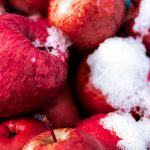 Traveling_to_aomori red apples
