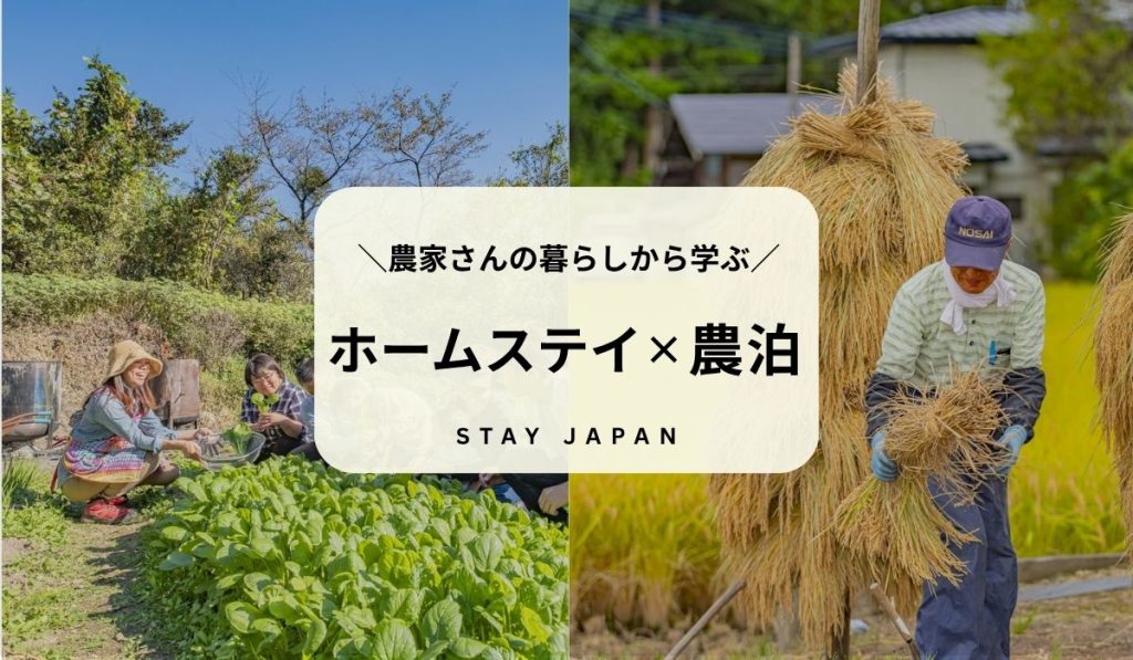 夏休み 自然体験 農業体験 農家民宿