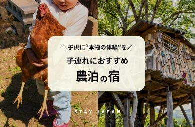 夏休み 子連れ旅