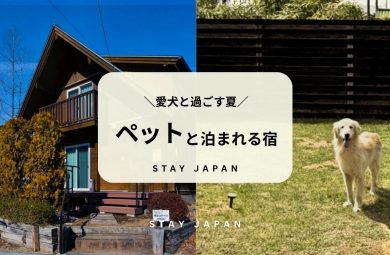 夏休み ペットと泊まれる宿