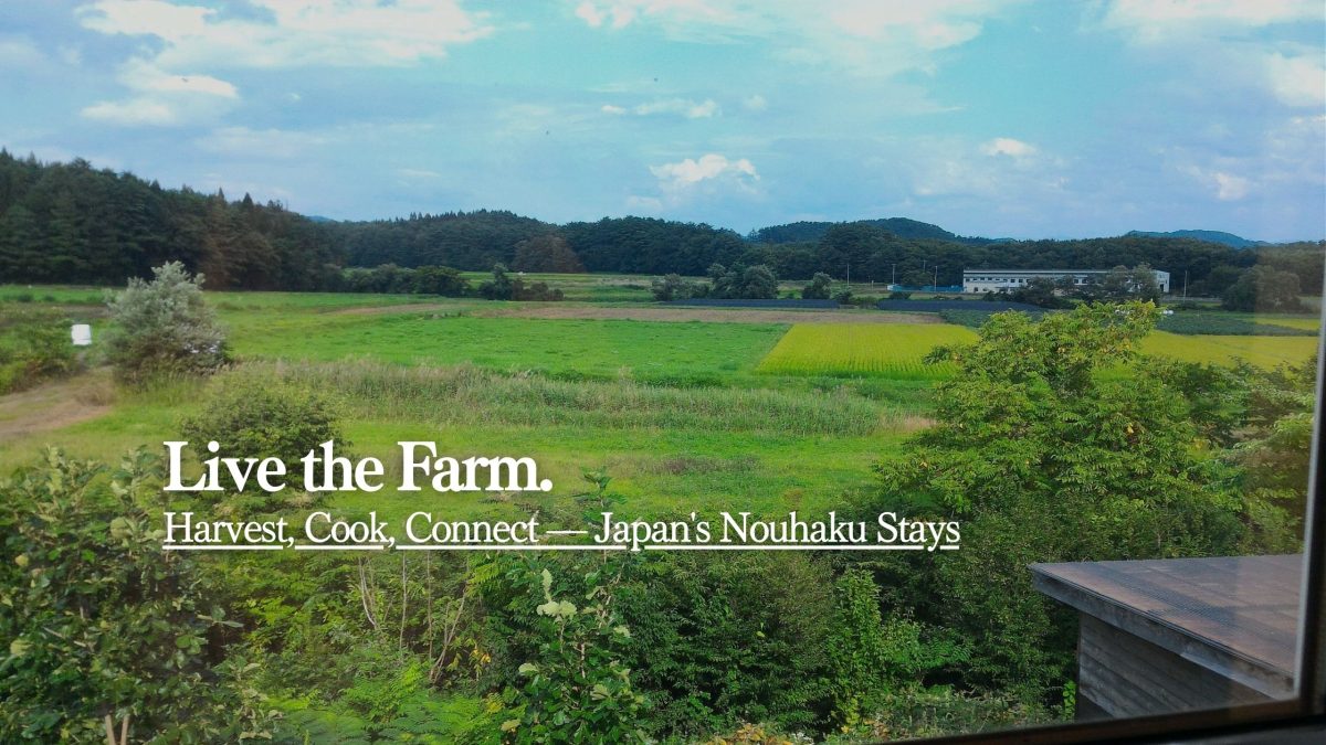 Nouhaku Japan: The Complete Guide to Countryside Agricultural Stays