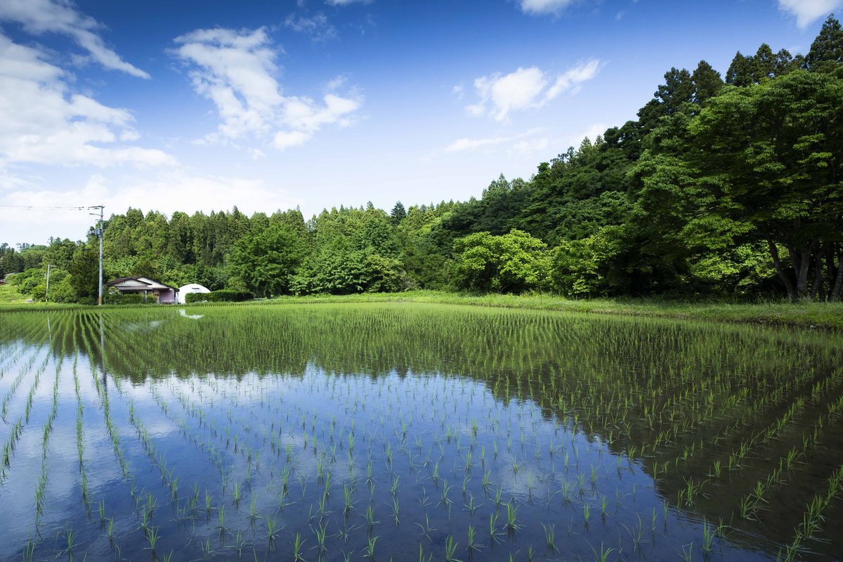 Japan countryside itinerary – Hütte Momo in Miyagi, Tohoku