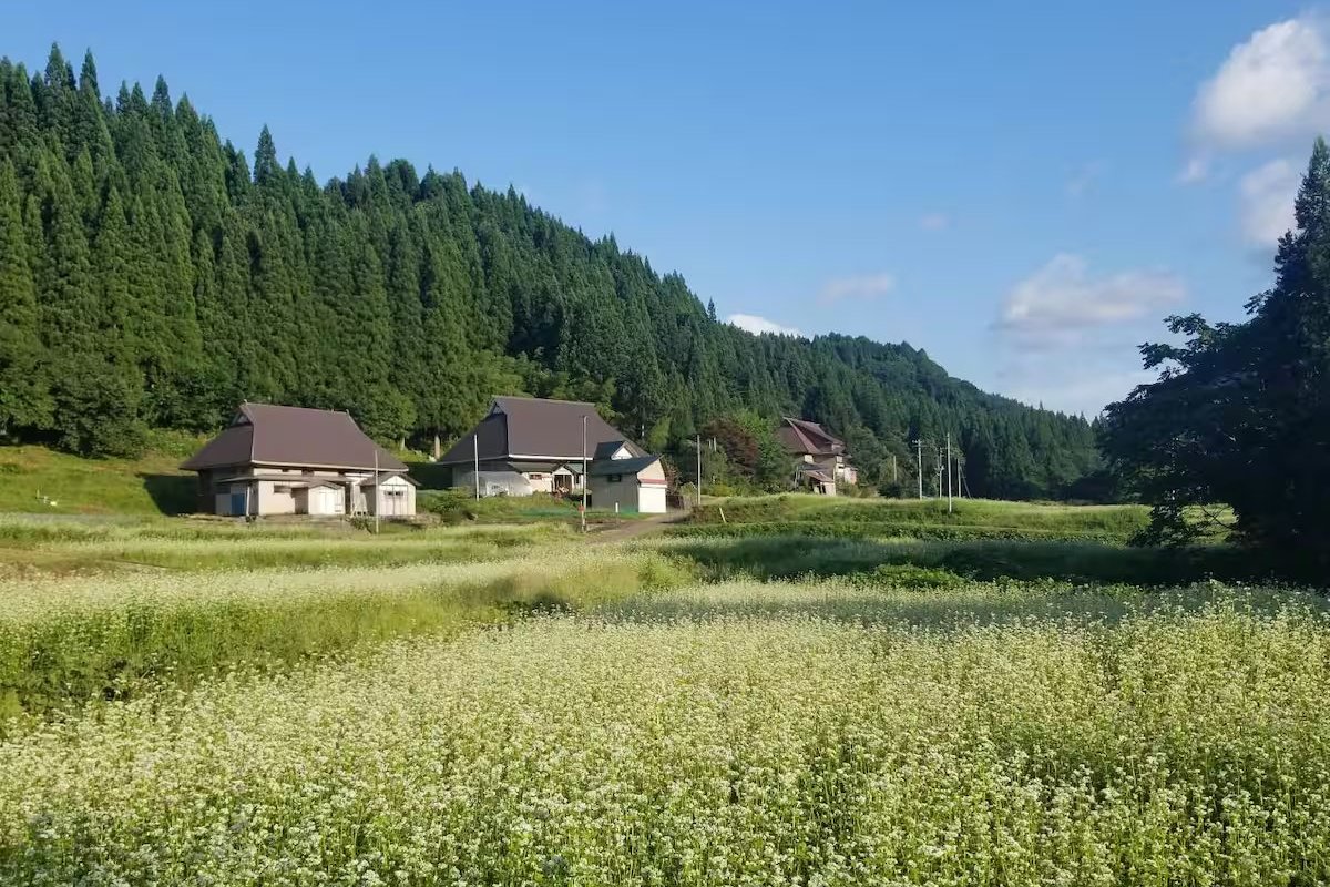 Tohoku autumn travel – Ryogetsusha Farm Matagi no Sato in Kitaakita, Akita
