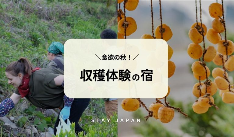 収穫体験の宿