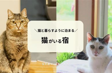猫がいる宿
