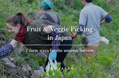 Fruit & veggie picking in Japan
