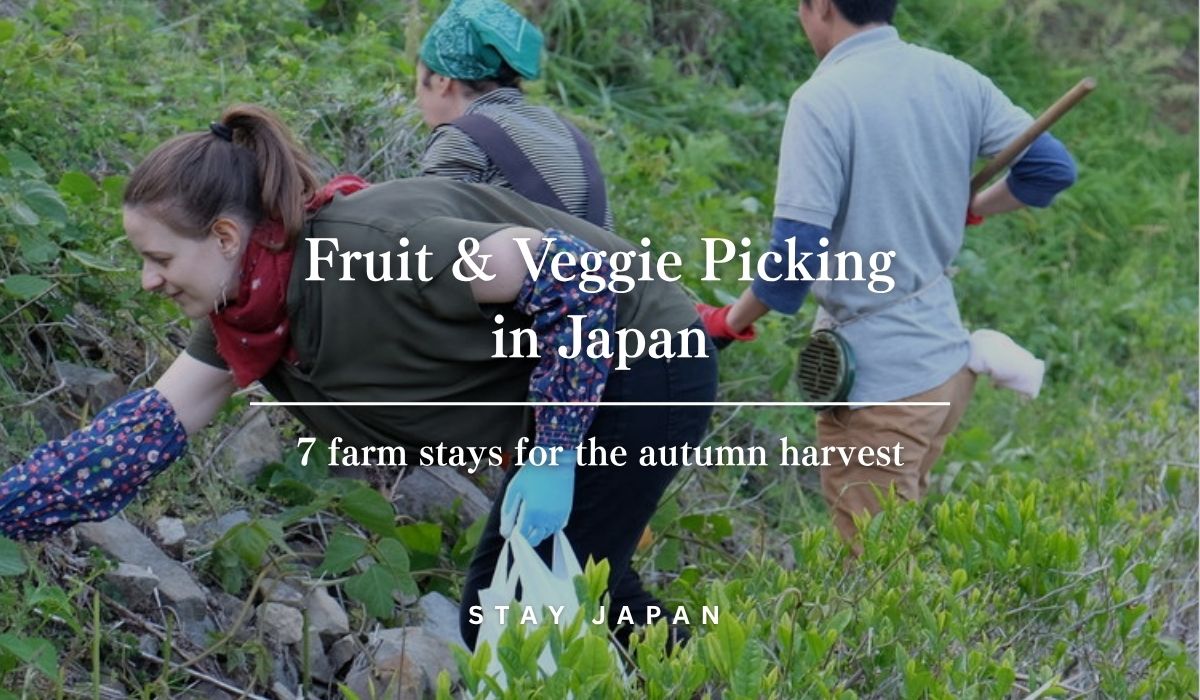Fruit & veggie picking in Japan