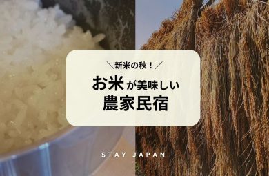 お米が美味しい農家民宿