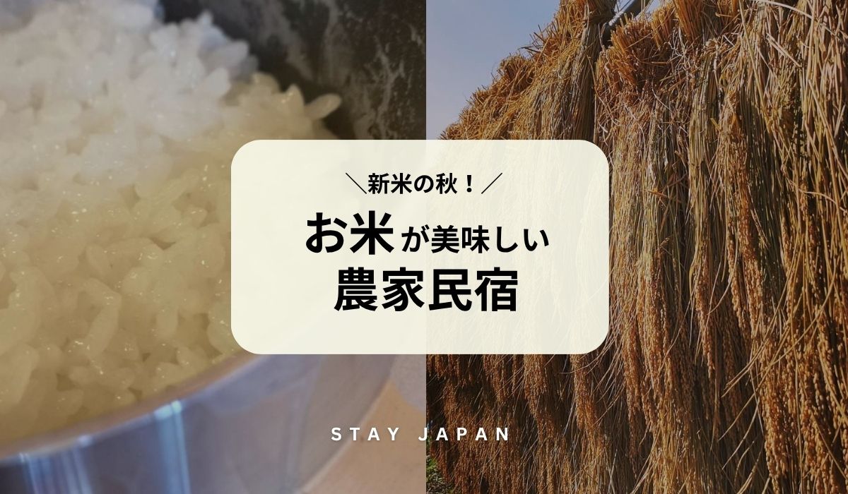 お米が美味しい農家民宿