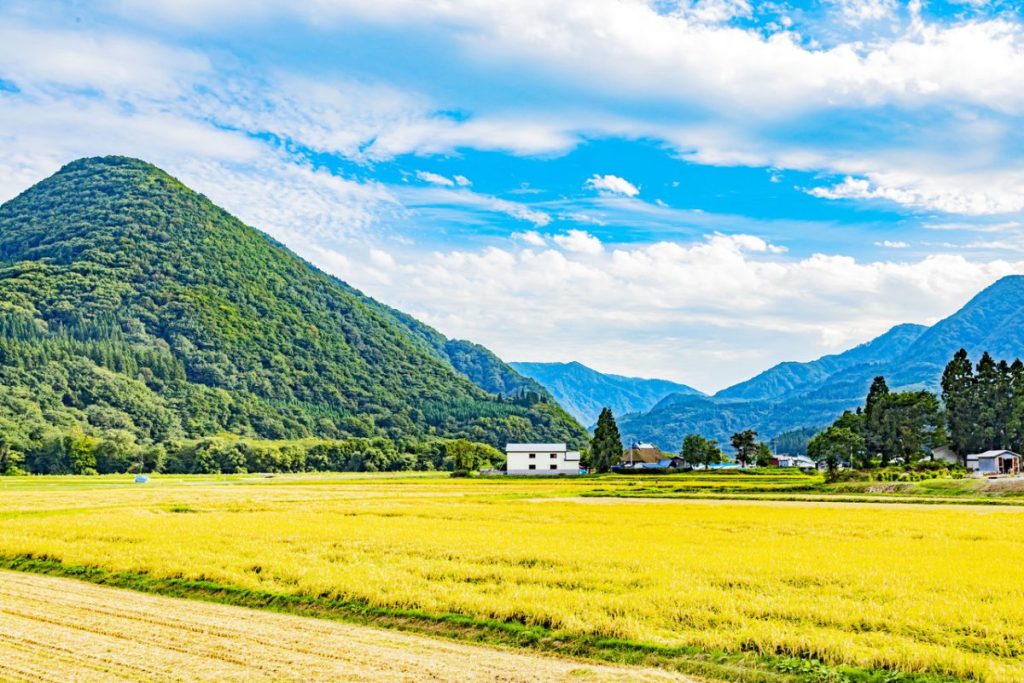 Hunting in Japan: a former wooden schoolhouse stay in the forests of the Shirakami Mountains